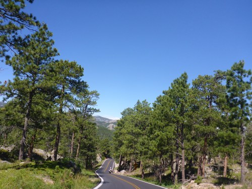 Winding Black Hills roads