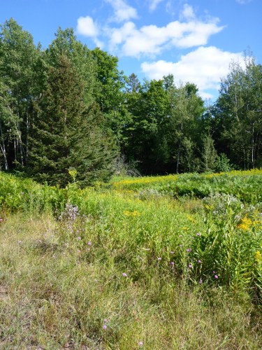 Great spot to stop and refresh