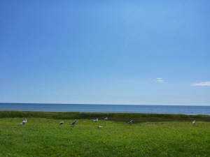 Chicago is a long way away, on the far side of Michigan lake