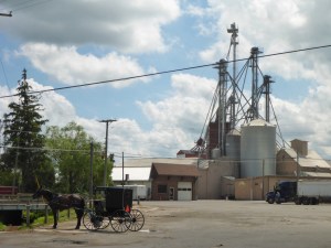 Grain storage and Buggy