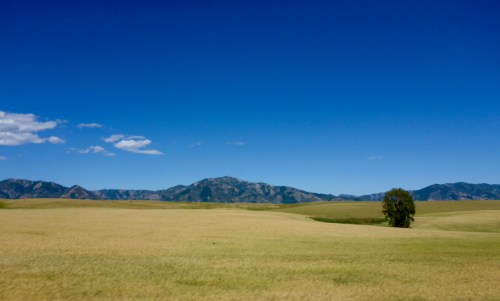 Along Swan Valley Hwy