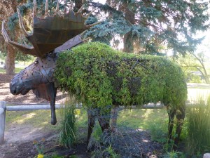 Sculpture on the banks of Snake river at Idaho Falls