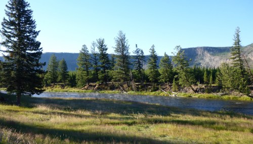 Morning mist on Madison river in Yellowstone
