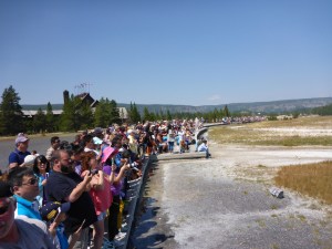 Crowds waiting for Old Faithful