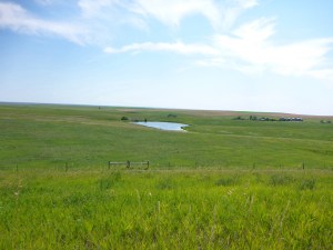 Lovely spot to stop and revitalise