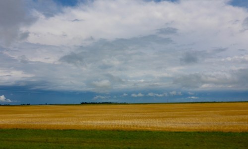Wheat fields around Aberdeen