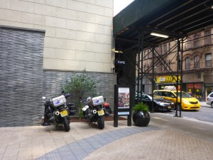 Streak and Storm have made it to New York