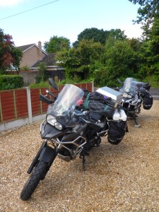 Storm and Streak have made it back!!