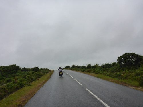 Our first ride, across the New Forest, is grey and wet but it feels good