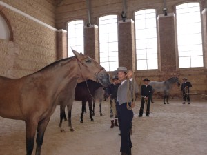 Royal stables, Cordoba, Spain