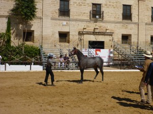 Royal stables, Cordoba, Spain
