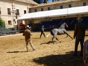 Royal stables, Cordoba, Spain