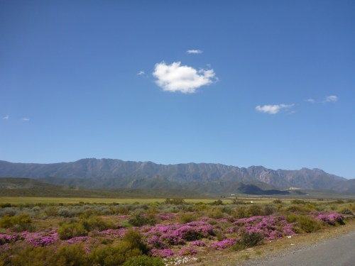 Little Karoo, South Africa