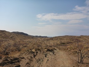 North of Marble Camp