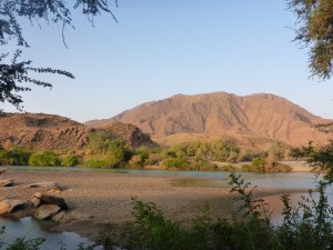 Our campsite at Syncro Camp
