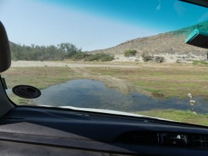 Surprise water crossing over the Hoarusib river