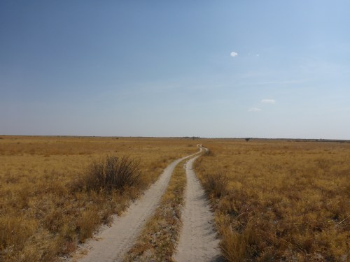 Makgadikgadi, Botswana