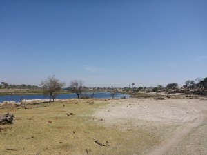 Khumaga wildlife camp, Botswana