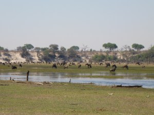 Khumaga wildlife camp, Botswana