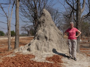 More gardening than most people would want!