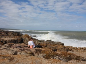 The wild coast is wild.