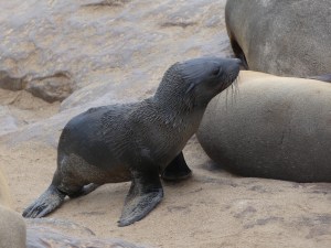 Am I cute or what....